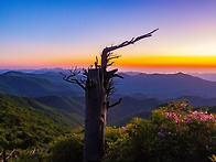 정선 고한 함백산 일출(2..