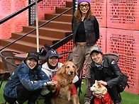 11월 진천 카페 ..