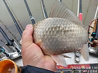 물색좋은 손맛터