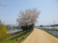 따뜻한 봄날~~ 이쁜 벗님들..