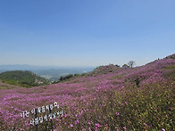 황매산 (2025.5.4 일) ..