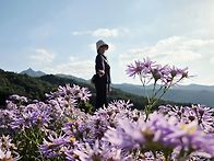 9/30 개미취꽃 문희농원,..