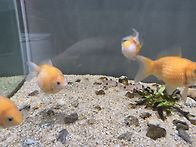 8/23(일)아쿠아리움,괴산..