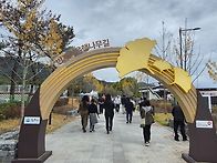 10/24(토)반계리은행나무,..