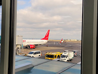 26.3.4.수/제주도 일주일..