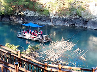 RE:RE:26.3.3.화/제주도..