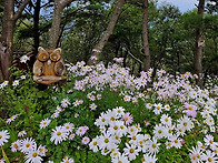 거창 감악산 정상에 아스타..