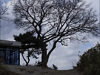 250209 남당리 죽도