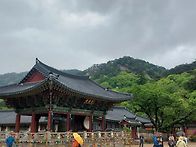 5/10 속리산세조길 ㆍ임한..