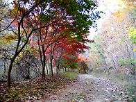 양구여행 &#127810;