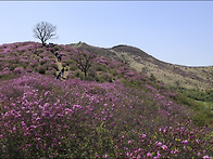 250504 황매산 교향리(대..