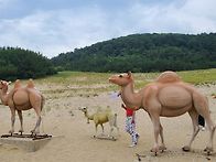 여기는, 대청도