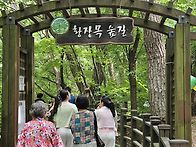 원주 튤립 축제. 치악산...