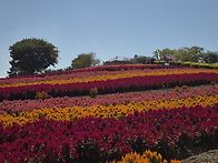 10/10 섬티아고12사도순례..