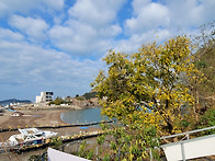 11.23.일/장자도,말도.선..