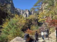 10/28(수)설악산흘림골&오..