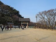 석굴암(2026.2.15 일)