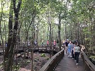 제주도일주일살기 (9/16..