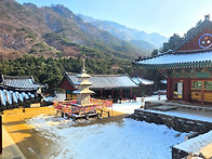 05.25 치악산 구룡사