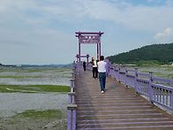 해남 수국+고창라벤더+퍼플..