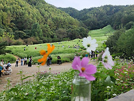 10/9(수)미동산수목원과 ..