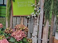 6/19(일)관악산
