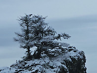 Mt Si - 11/16/24