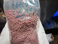 전칠근(삼칠근) 씨앗