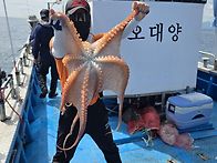 260625/0710 문어낚시