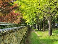 청도의 가을 .운문사.와인..