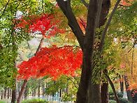 성지곡의 늦가을 풍경