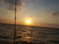 동해 바다 대 삼치잡으러 ..