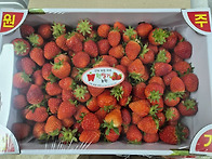 원 딸기농원 - 딸기 5박스..