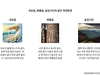 디자인매니지먼트..