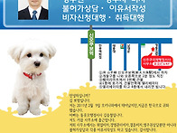 배우자 비자를 신..