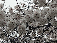 경남기독문학 청지기, 김종..