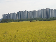 가을 풍경