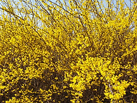 경남기독문인회 회원작품 ..