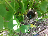 경남기독문인회 청지기 1..