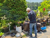 5월16일 토요일 분재교육