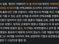 아메리칸 불리 소..