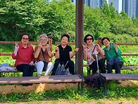 2026-06-13-수련꽃 서창동..