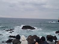 2024년 1/1일 감..