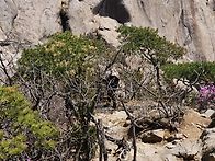 북한산2~~