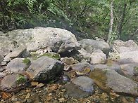 유명산 계곡