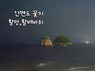 7월에연꽃~