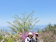 활짝핀 철쭉과 파아란 하늘..