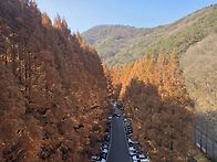 장태산 다녀왔쪄용