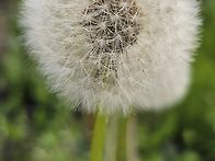 사심가득한ㆍ사진들^^