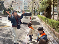 우리 동네 벚꽃 나들이와 ..